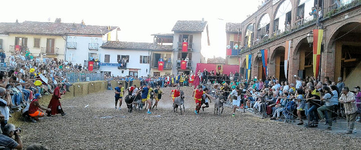 Il Palio degli asini