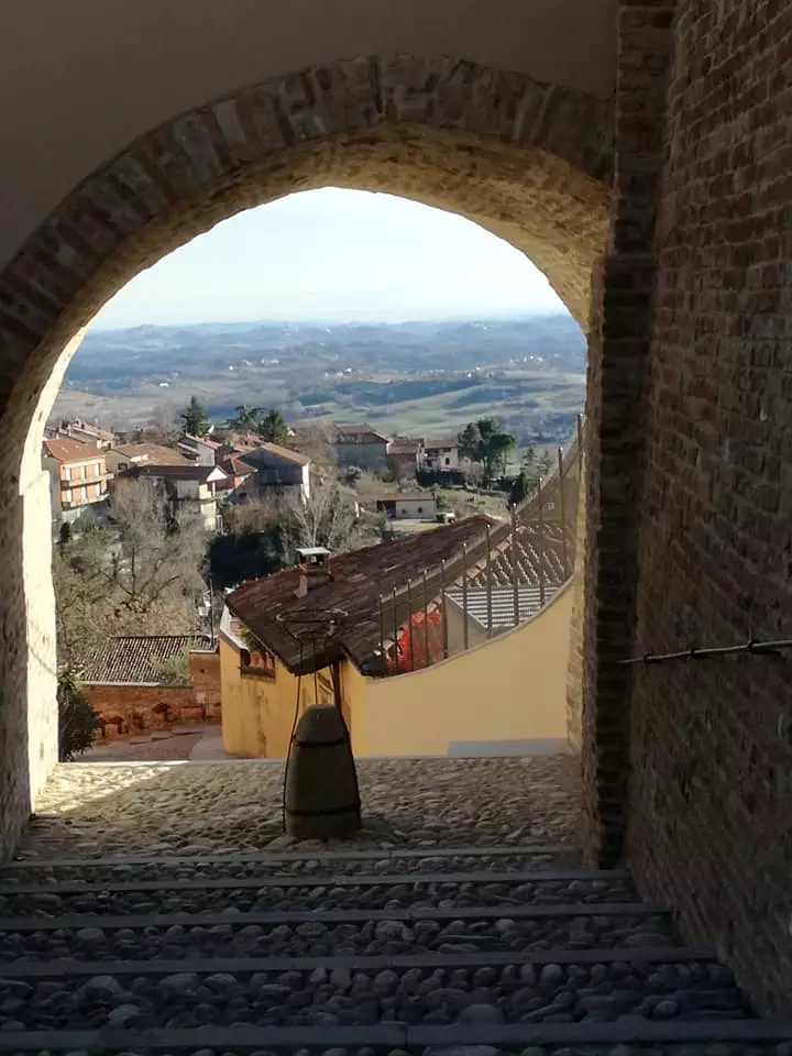 Foto